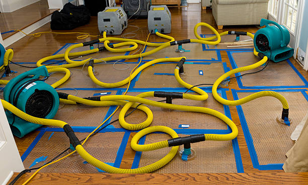 Professional Water Damage Restoration technician working in Hudson, SD
